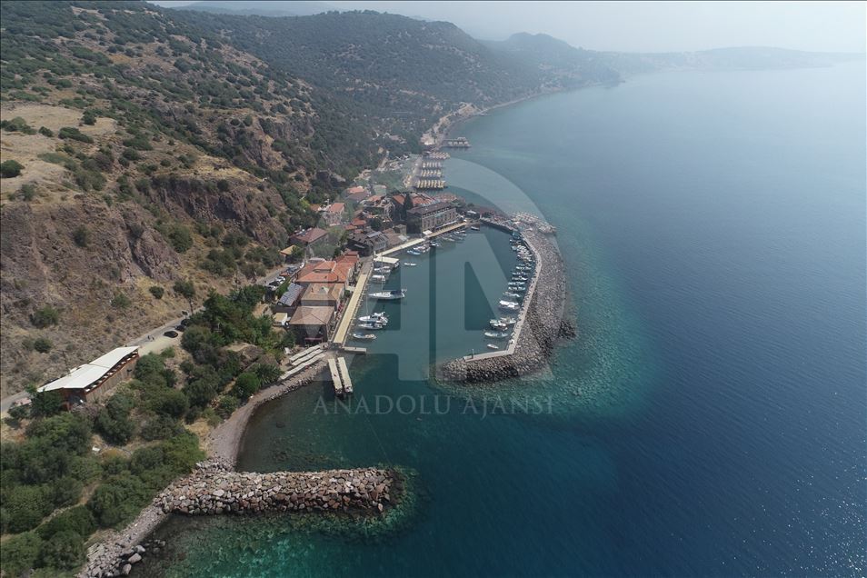 459 Blue Flags Wave at Turkish beaches