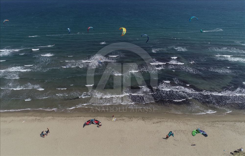 459 Blue Flags Wave at Turkish beaches