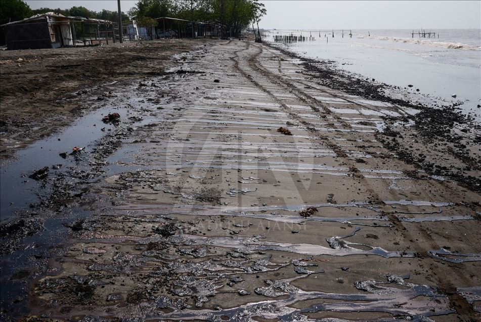 Tumpahan minyak Pertamina di Pantai Sedari, Karawang