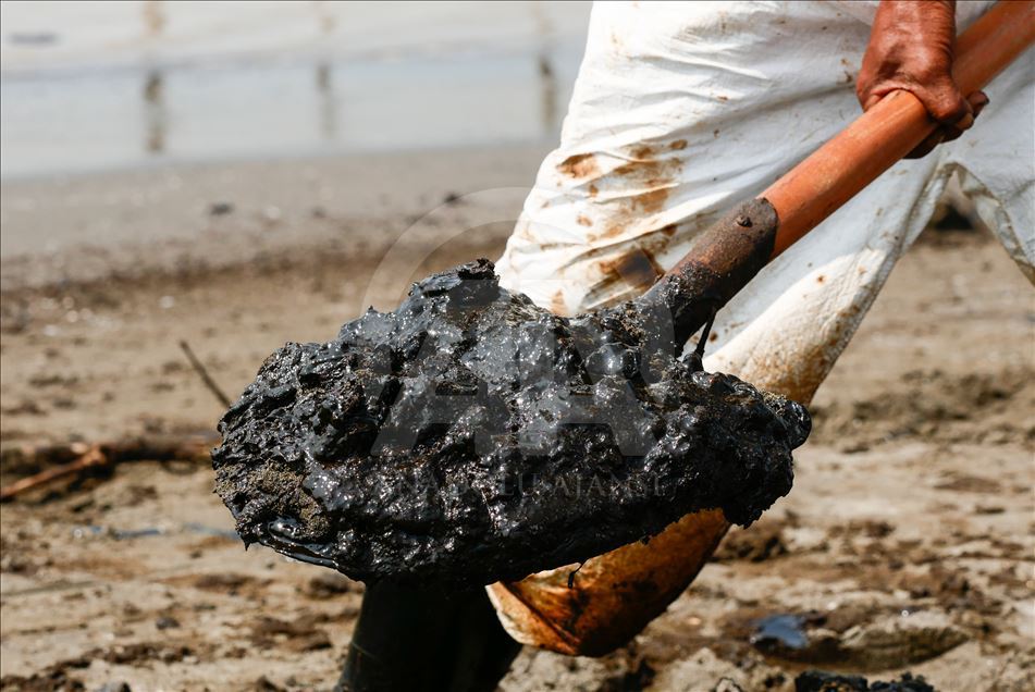 Tumpahan minyak Pertamina di Pantai Sedari, Karawang