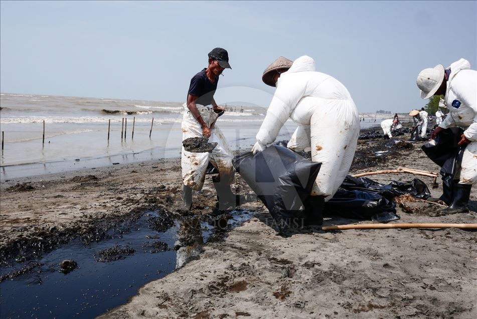 Tumpahan minyak Pertamina di Pantai Sedari, Karawang