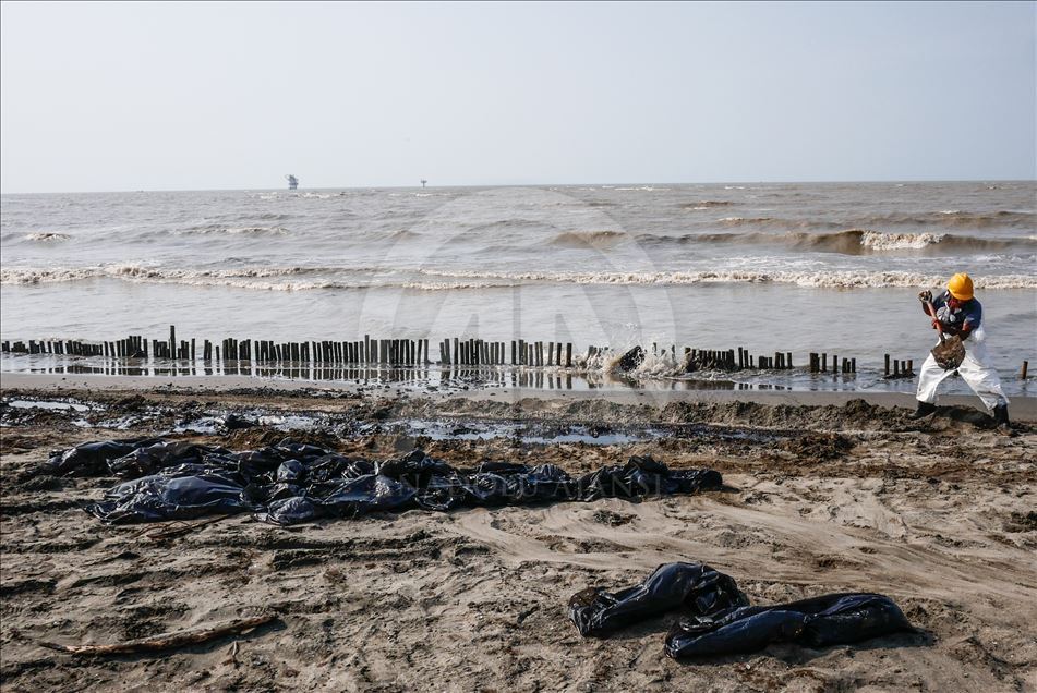 Tumpahan Minyak Pertamina Di Pantai Sedari Karawang