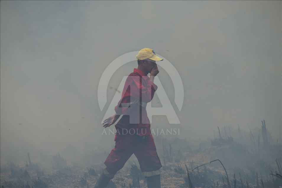 Kebakaran lahan gambut di Ogan Ilir, Sumatera Selatan