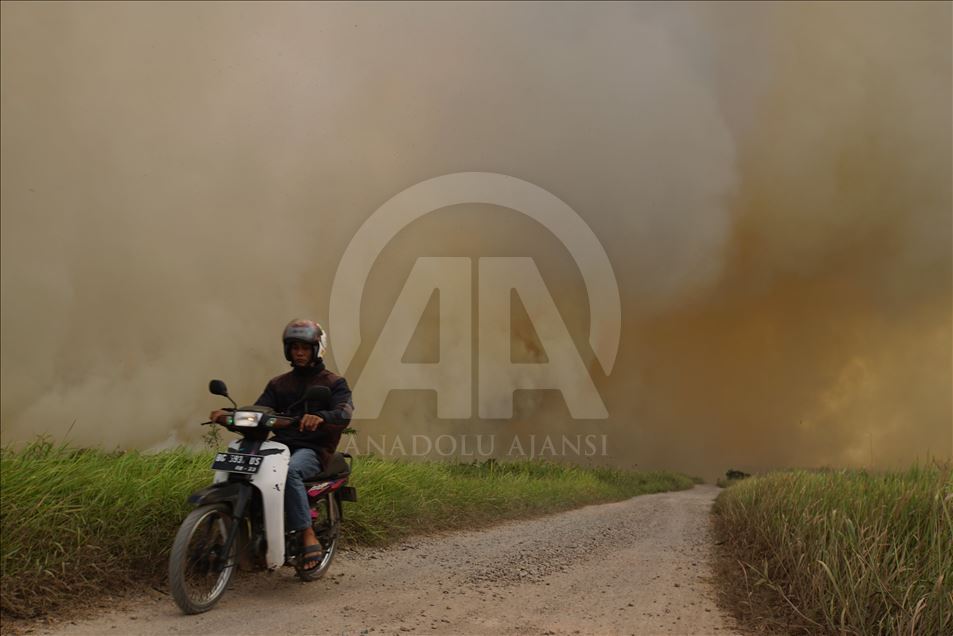 Kebakaran lahan gambut di Ogan Ilir, Sumatera Selatan