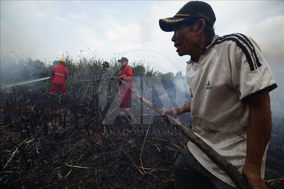 Kebakaran lahan gambut di Ogan Ilir, Sumatera Selatan