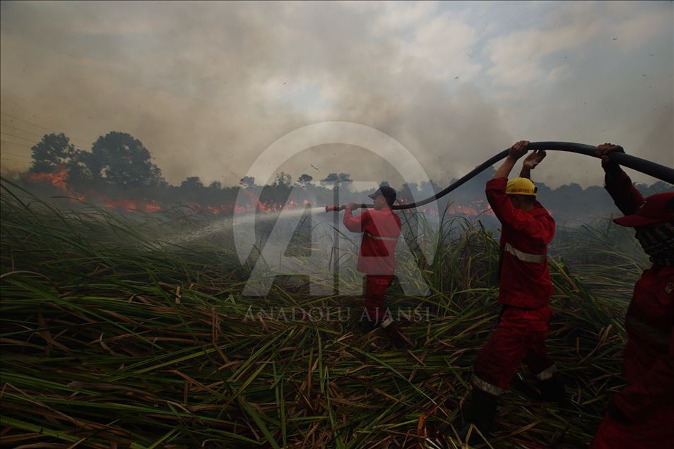 Kebakaran lahan gambut di Ogan Ilir, Sumatera Selatan