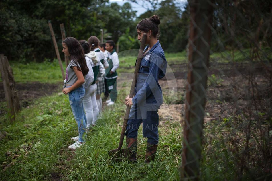 Niños desplazados y víctimas del conflicto en Colombia educados en una finca cafetera.