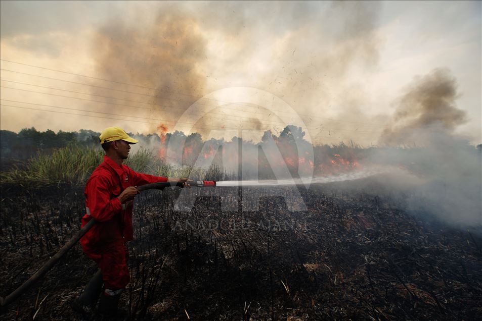 Kebakaran lahan gambut di Ogan Ilir, Sumatera Selatan