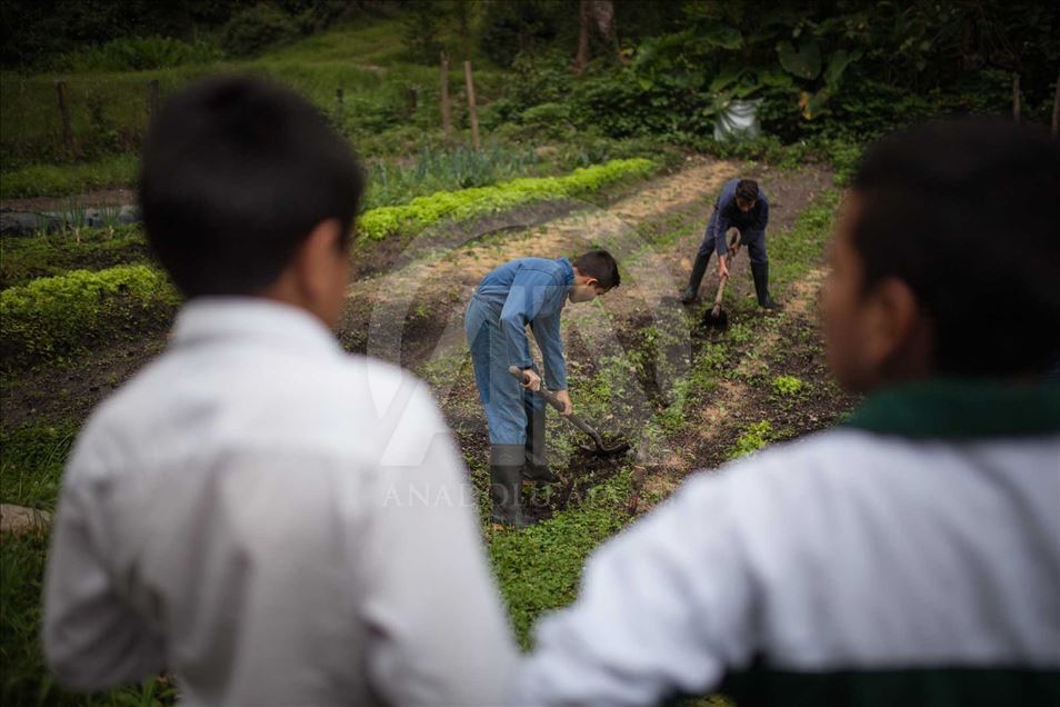Niños desplazados y víctimas del conflicto en Colombia educados en una finca cafetera.