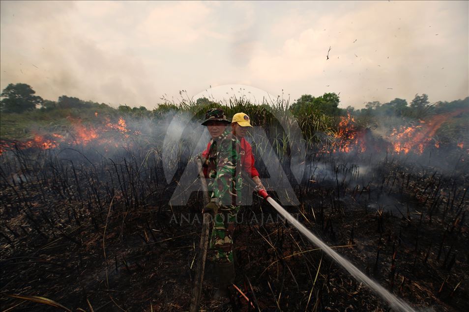 Kebakaran lahan gambut di Ogan Ilir, Sumatera Selatan