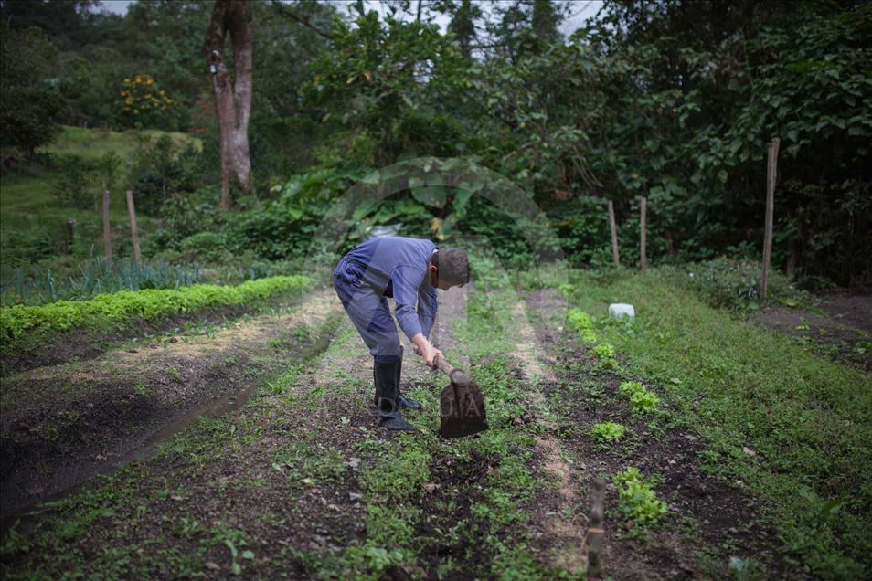 Niños desplazados y víctimas del conflicto en Colombia educados en una finca cafetera.