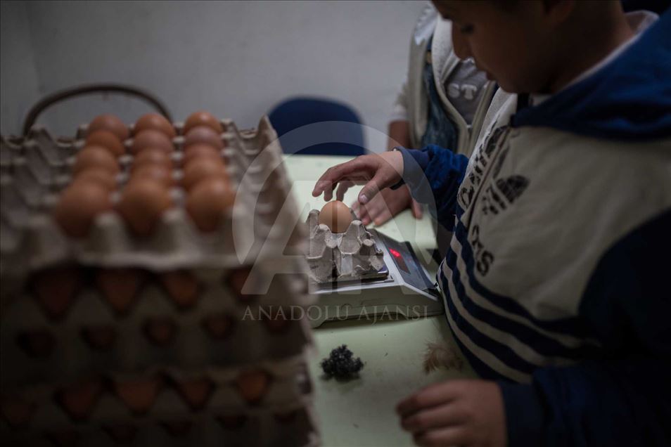 Niños desplazados y víctimas del conflicto en Colombia educados en una finca cafetera.