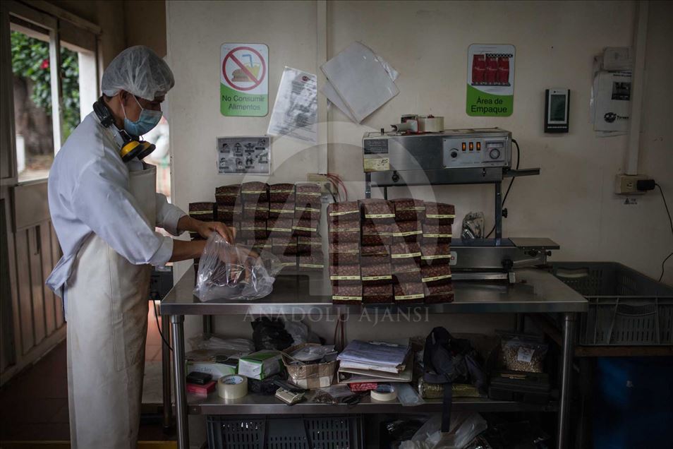 Niños desplazados y víctimas del conflicto en Colombia educados en una finca cafetera.