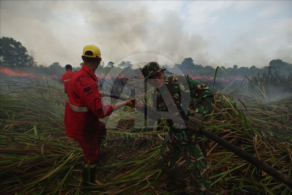 Kebakaran lahan gambut di Ogan Ilir, Sumatera Selatan