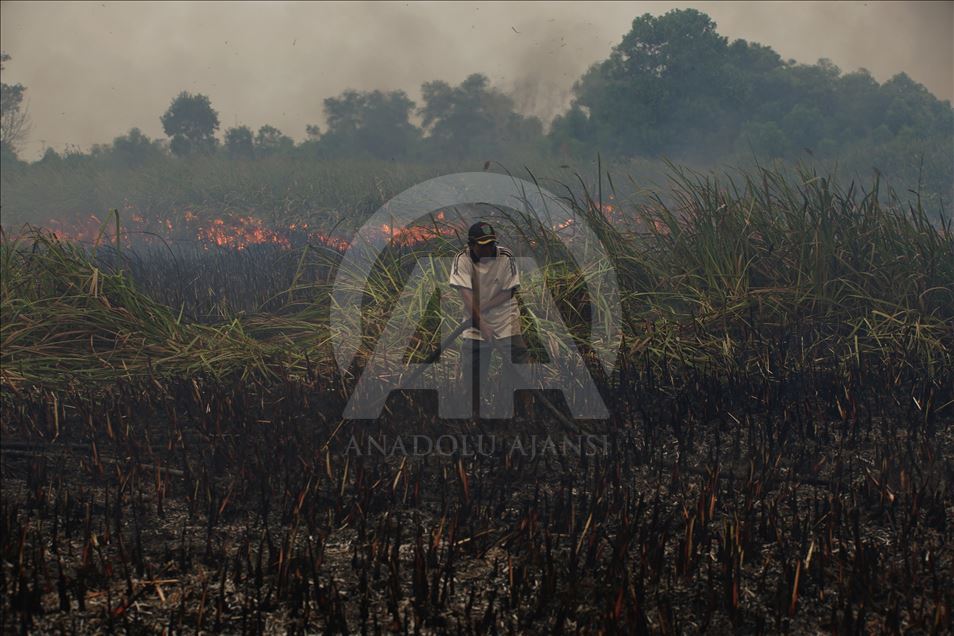 Kebakaran lahan gambut di Ogan Ilir, Sumatera Selatan