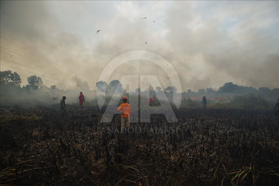 Kebakaran lahan gambut di Ogan Ilir, Sumatera Selatan