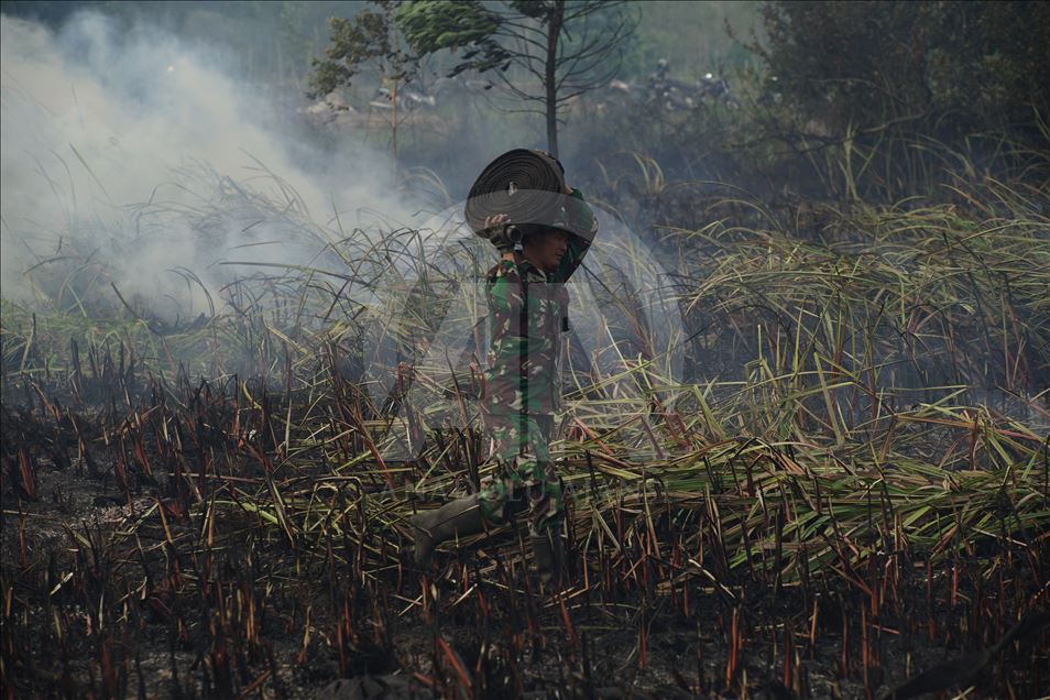 Kebakaran lahan gambut di Ogan Ilir, Sumatera Selatan