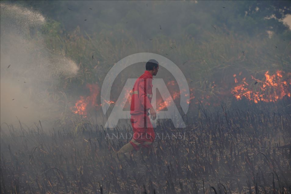 Kebakaran lahan gambut di Ogan Ilir, Sumatera Selatan