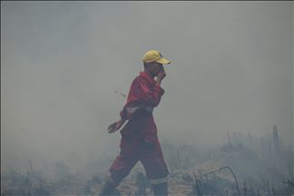 Kebakaran lahan gambut di Ogan Ilir, Sumatera Selatan