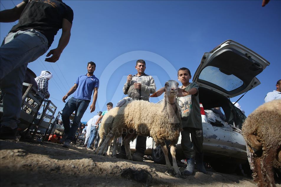 Persiapan jelang Hari Raya Idul Adha di Palestina