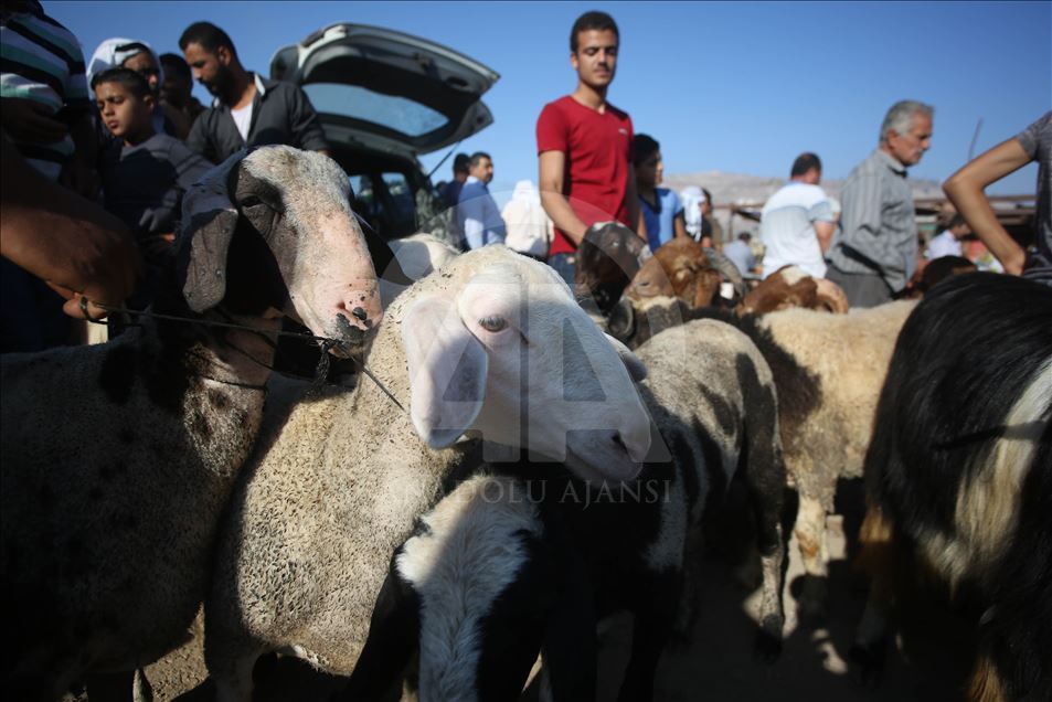 Persiapan jelang Hari Raya Idul Adha di Palestina