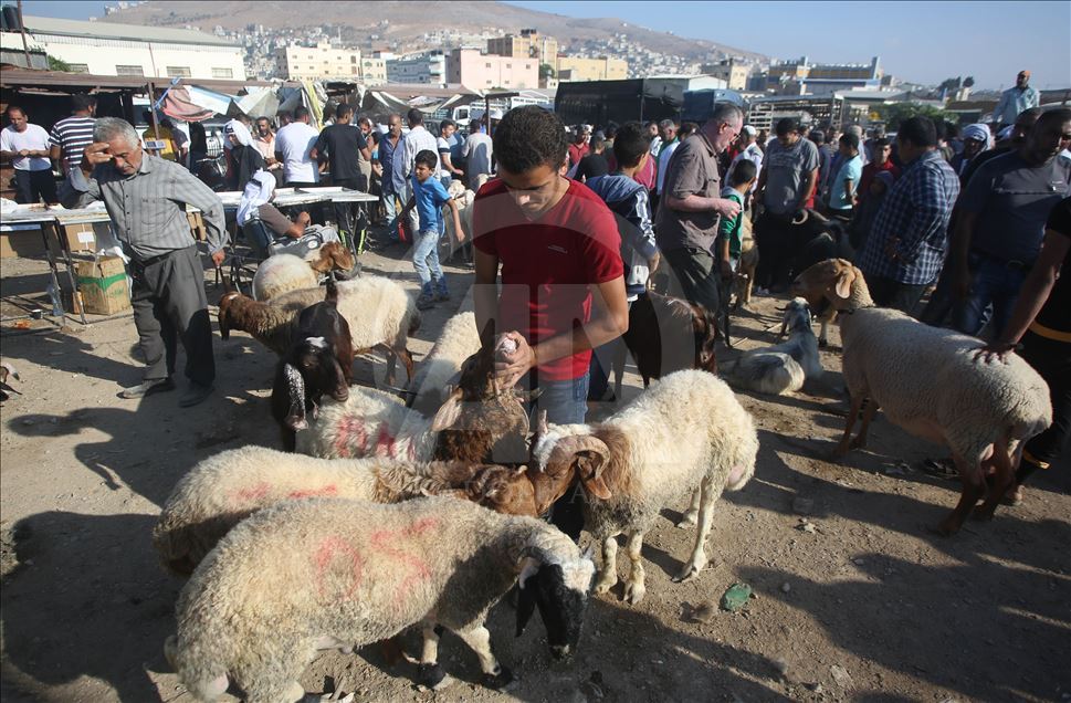 Persiapan jelang Hari Raya Idul Adha di Palestina