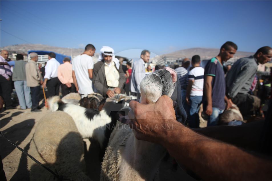 Persiapan jelang Hari Raya Idul Adha di Palestina