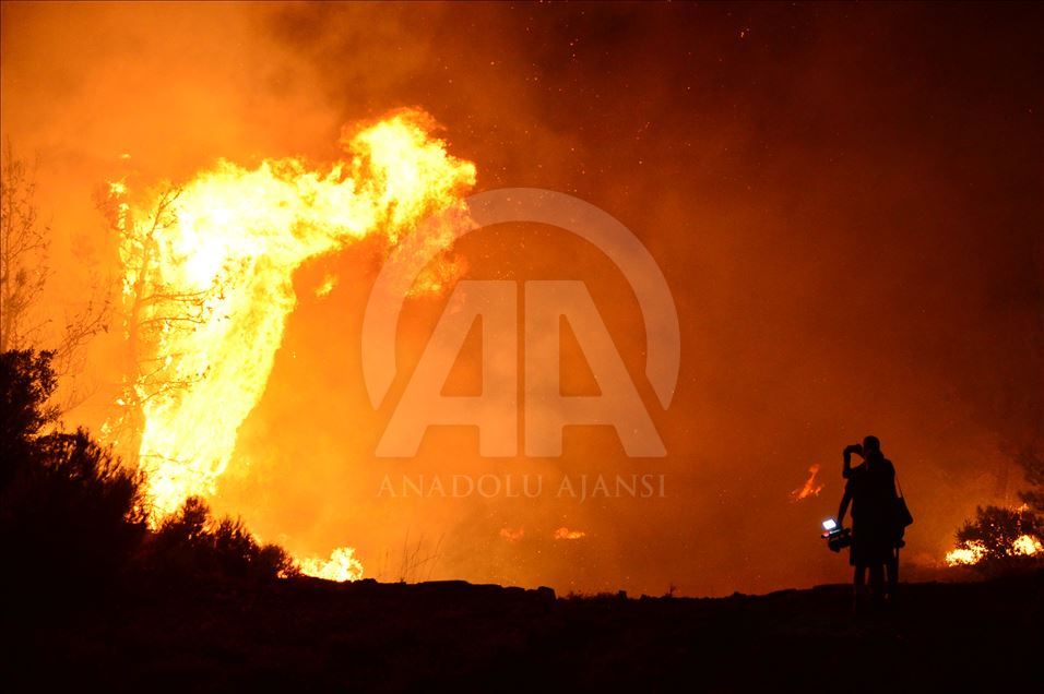 Çanakkale'de orman yangını
