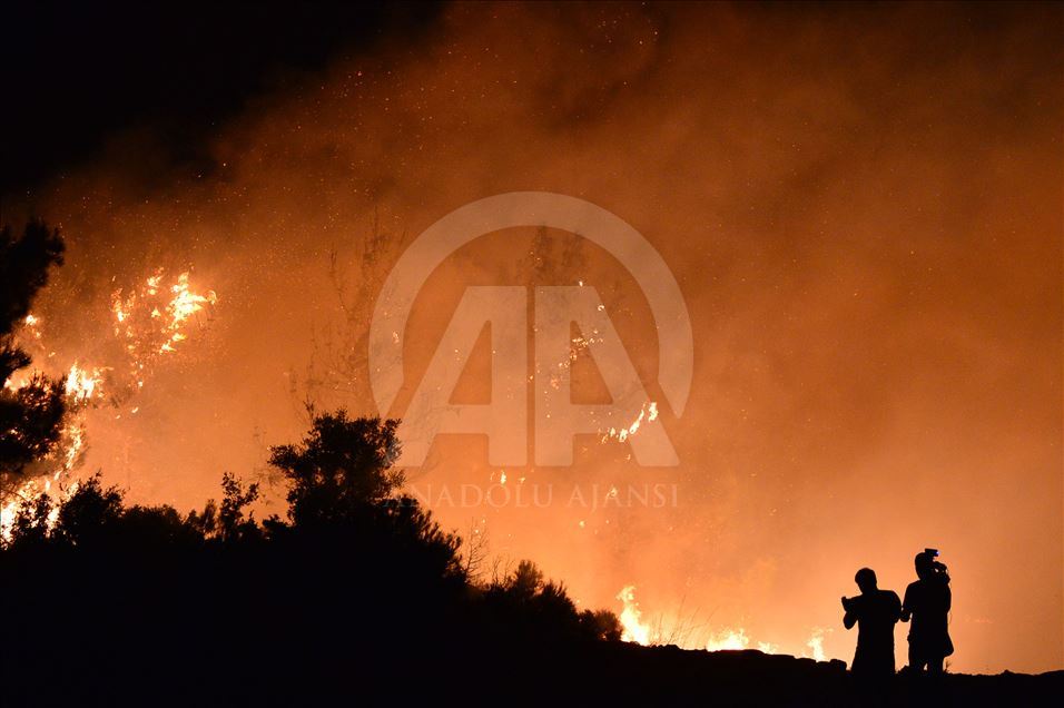 Çanakkale'de orman yangını
