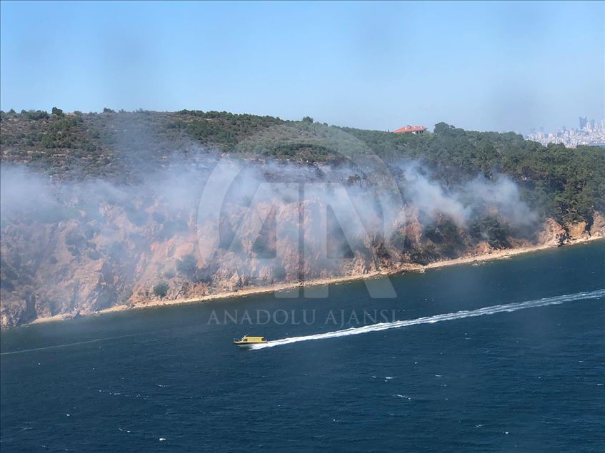 Burgazada'da orman yangını
