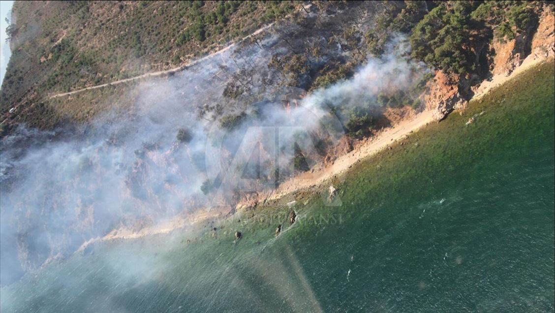 Burgazada'da orman yangını
