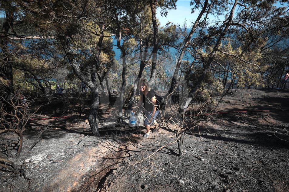 Burgazada'da orman yangını