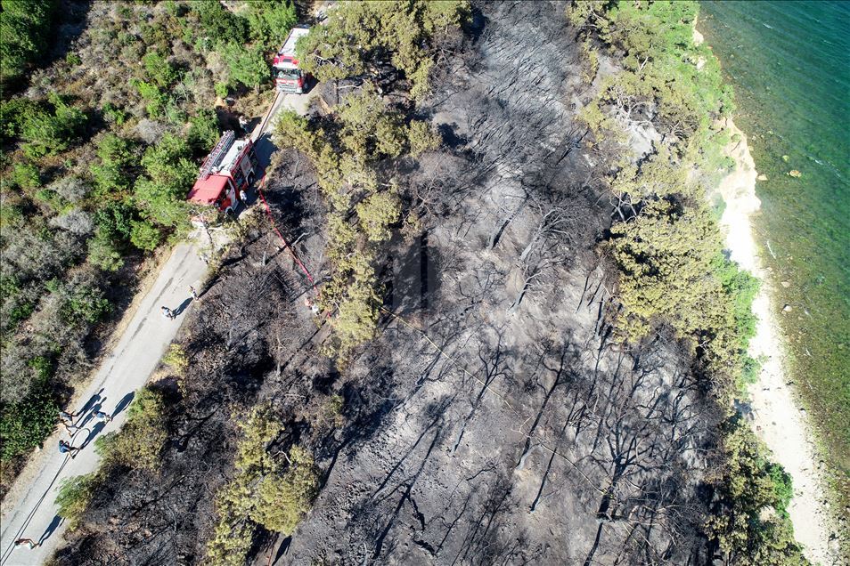 Burgazada'da orman yangını