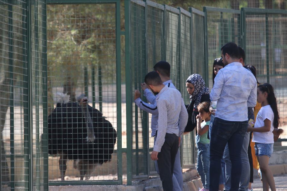 تركيا.. إقبال كبير على حديقة حيوانات "غازي عنتاب" خلال العيد