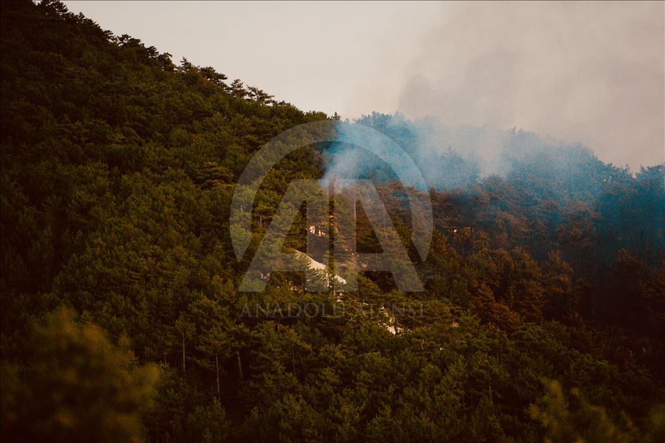  Eskişehir'de orman yangını