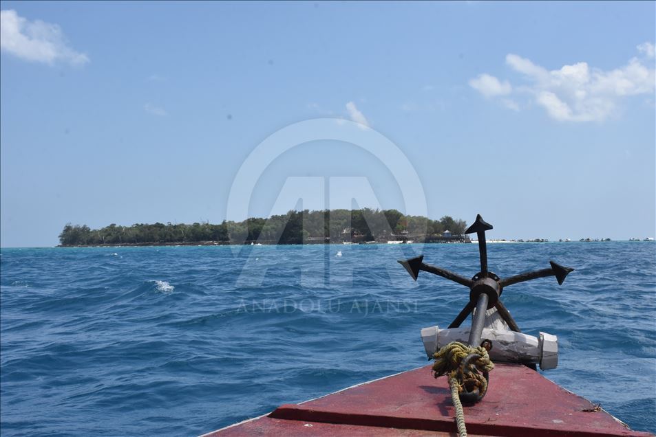 Changuu, ishulli i breshkave i Zanzibarit
