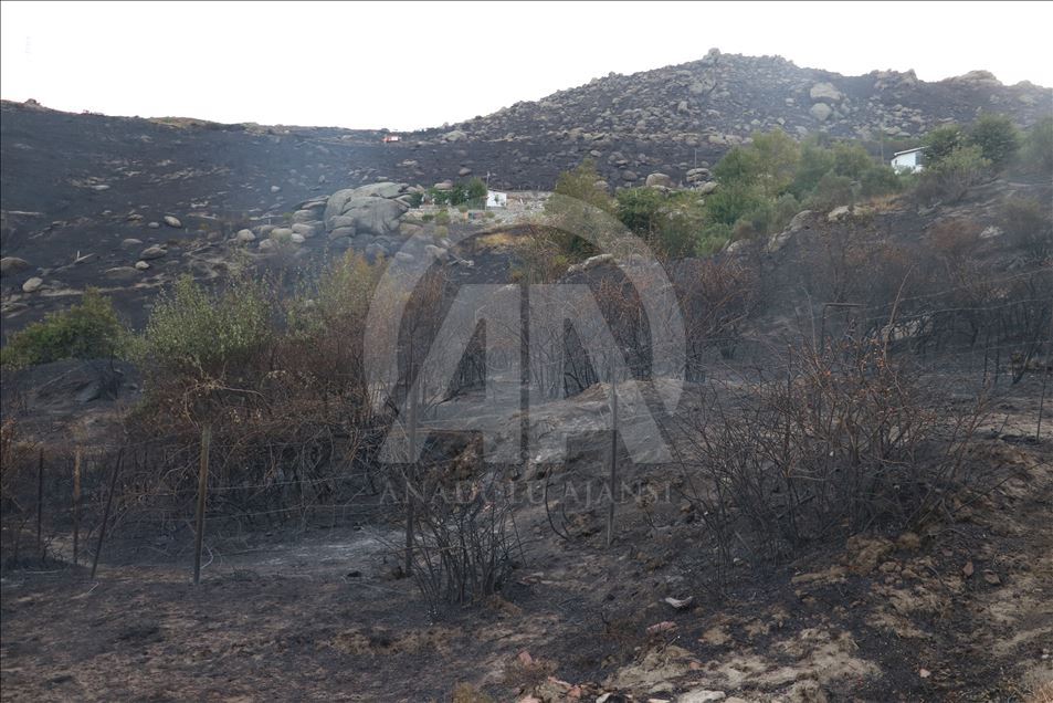 Marmara Adası'ndaki yangının boyutu gün ağarınca ortaya çıktı