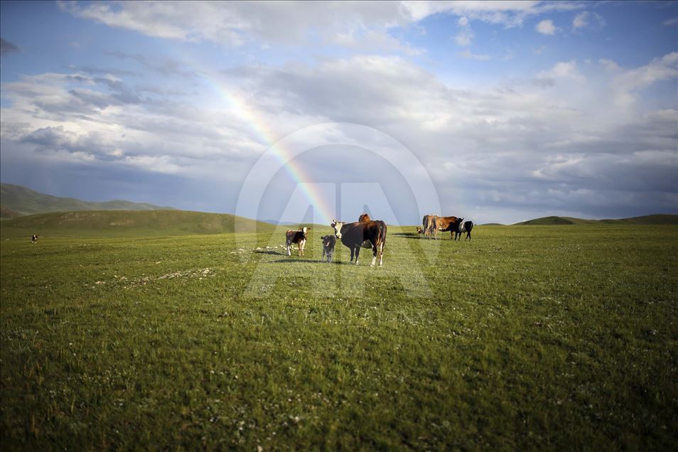 Un arcoíris desde las estepas de Mongolia