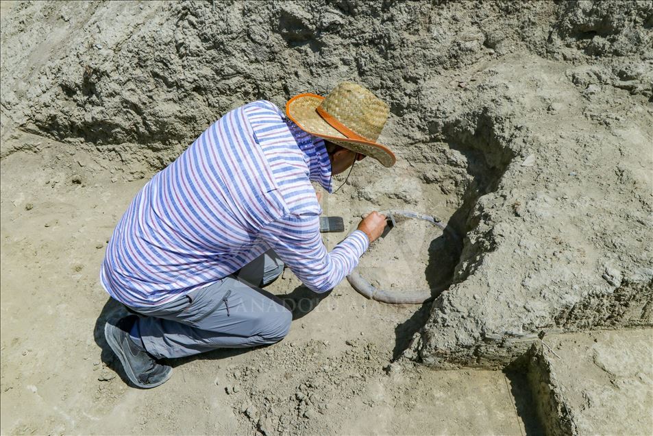 Diş taşlarından 2 bin 750 yıl önceki ölümlerin nedeni belirlenecek
