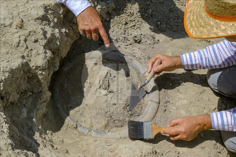 Diş taşlarından 2 bin 750 yıl önceki ölümlerin nedeni belirlenecek
