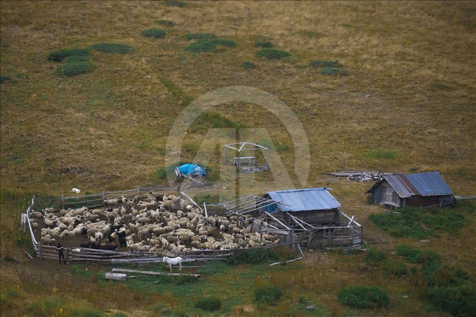 Doğanın Kalbi Bolu Dağları