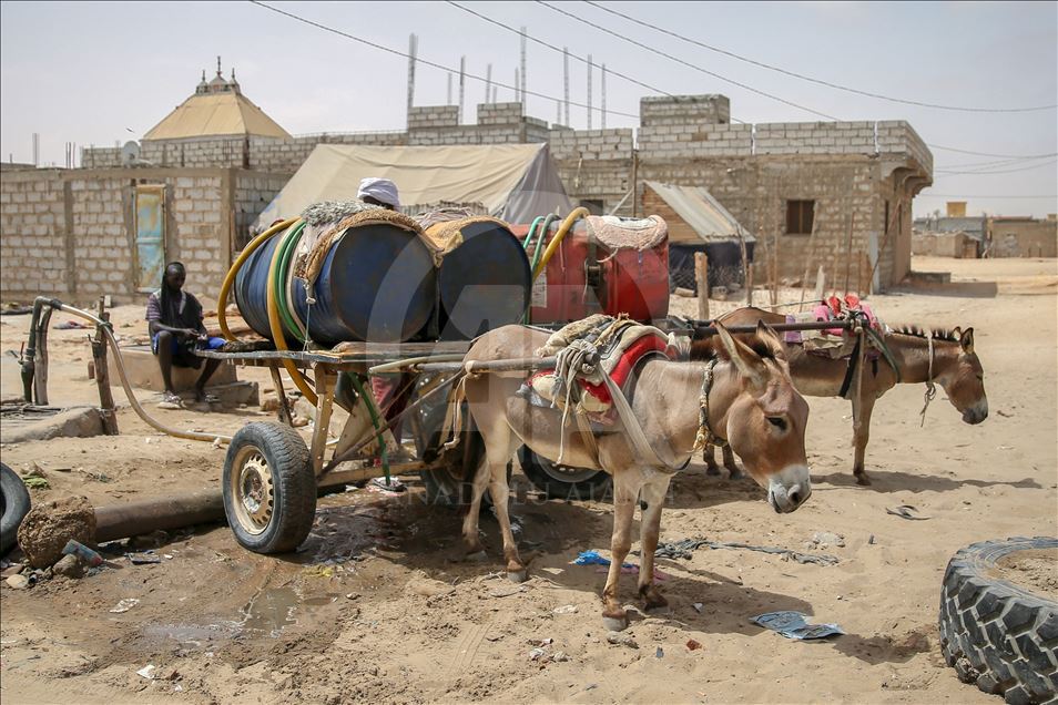 Nuakşot'un olmazsa olmazı "eşek arabaları"