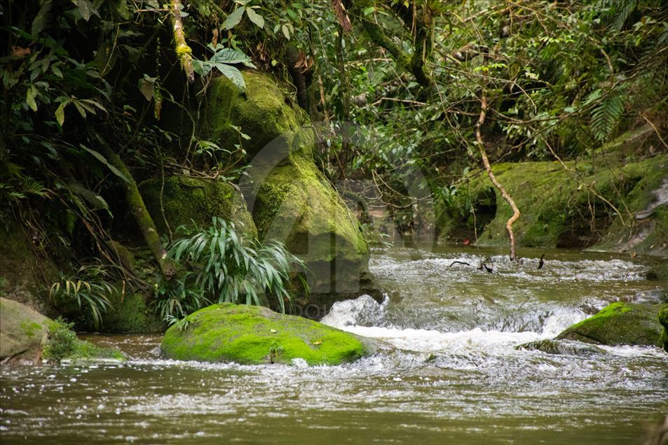 El paraíso colombiano que es resguardado por excombatientes de las Farc