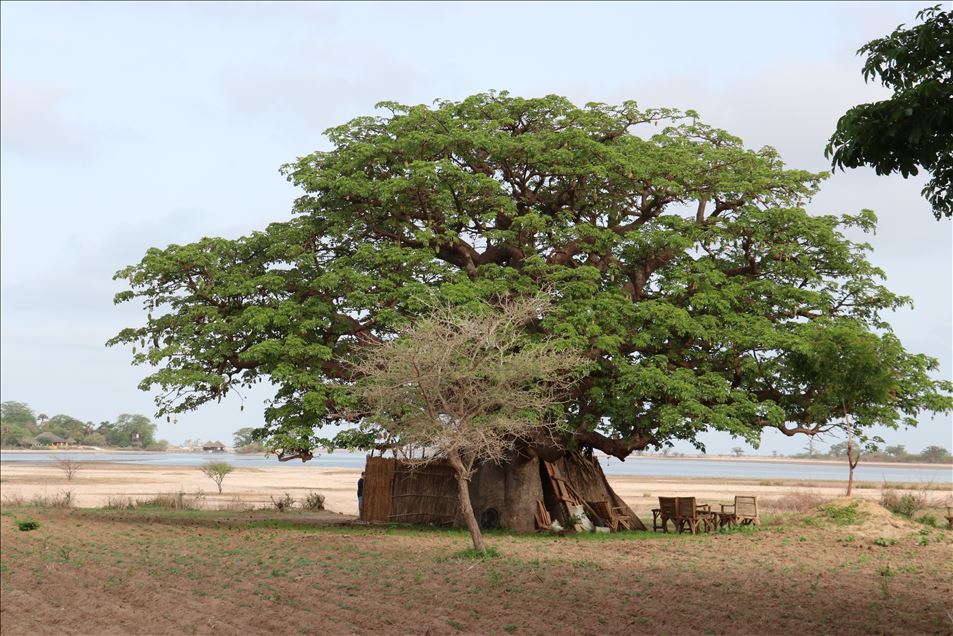 El paisaje del delta del Salum, en Senegal