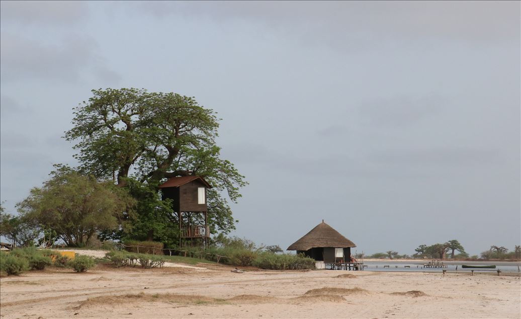 El paisaje del delta del Salum, en Senegal 