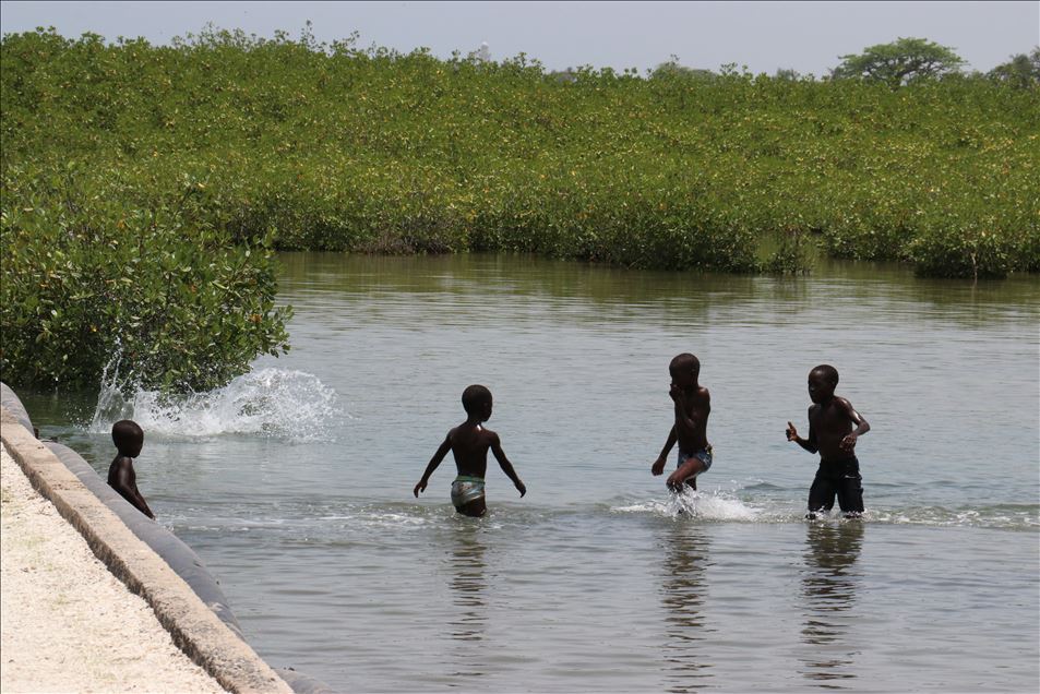 El paisaje del delta del Salum, en Senegal 
