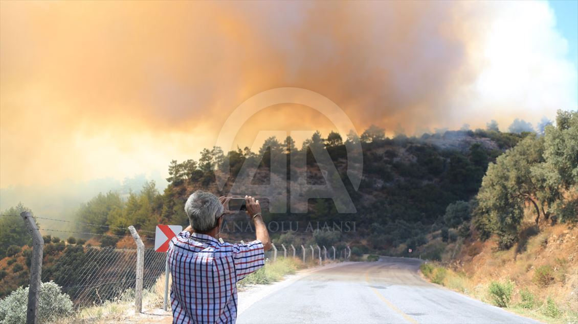 Muğla'da orman yangını