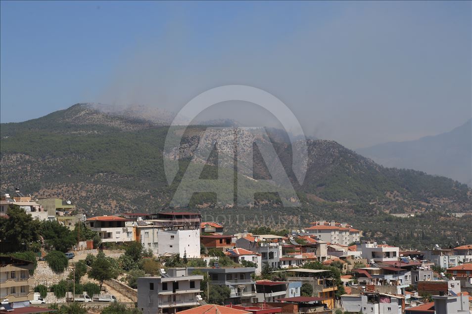 Muğla'da orman yangını