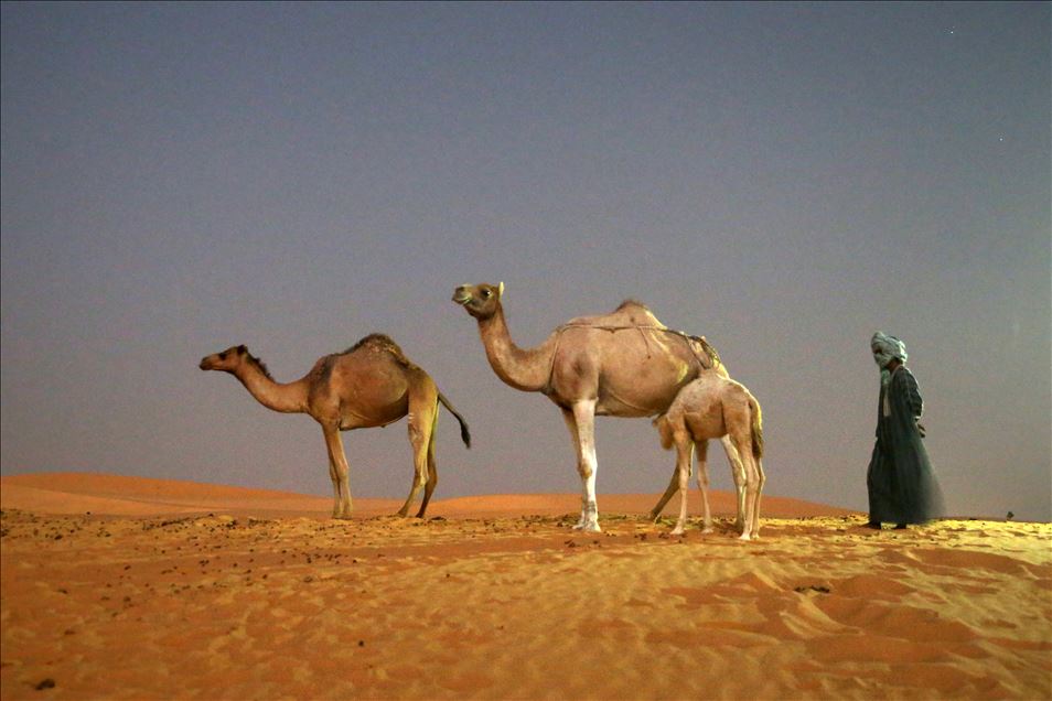 La vida en el desierto de Mauritania
