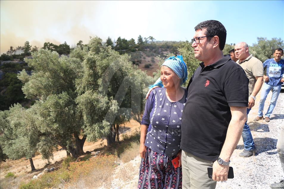 Muğla'da orman yangını